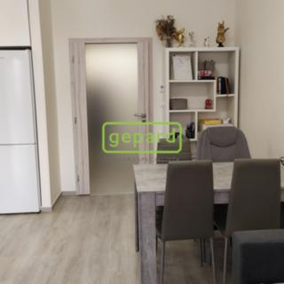 Pronájem bytu 2+kk 37 m² Brno Zábrdovice, Slepá