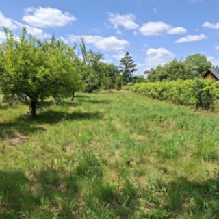 Prodej stavební parcely 930 m² Brno