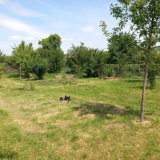 Prodej stavební parcely 799 m² Vyškov Nouzka, Brněnská