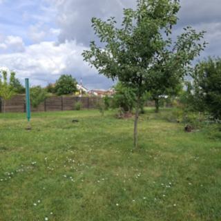 Prodej stavební parcely 799 m² Vyškov