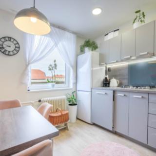 Prodej bytu 3+1 60 m² Letonice