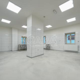 Pronájem výrobního objektu 115 m² Příbor, Freudova