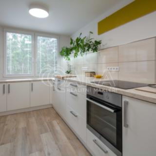 Pronájem bytu 3+1 64 m² Neratovice, 17. listopadu