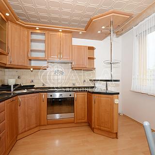 Pronájem bytu 1+1 38 m&sup2; Praha