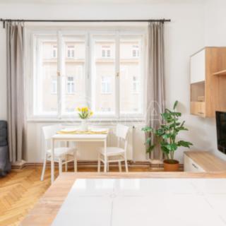 Pronájem bytu 1+kk a garsoniéry 30 m² Praha Smíchov, Kotevní