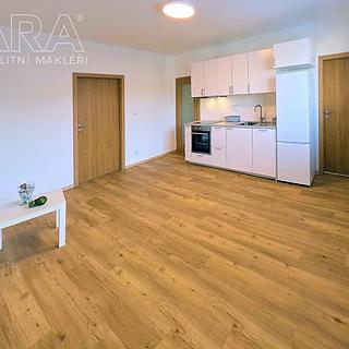 Pronájem bytu 3+kk 56 m² Praha, Nad Primaskou
