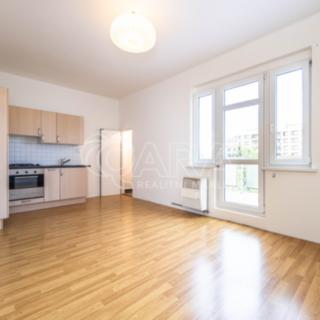 Pronájem bytu 1+kk a garsoniéry 29 m² Praha Záběhlice, Púchovská