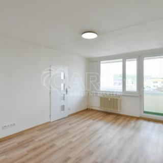 Pronájem bytu 1+1 53 m² Praha