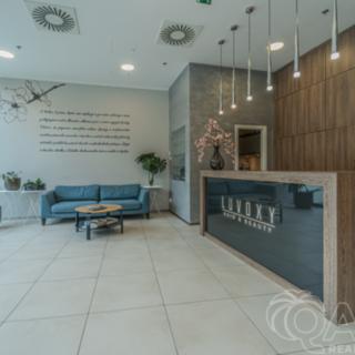 Pronájem obchodu 163 m² Praha