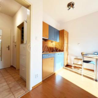 Pronájem bytu 1+kk, garsoniery 1062 m² Průhonice