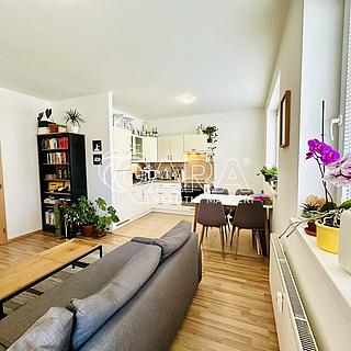 Pronájem bytu 2+kk 59 m² Plzeň