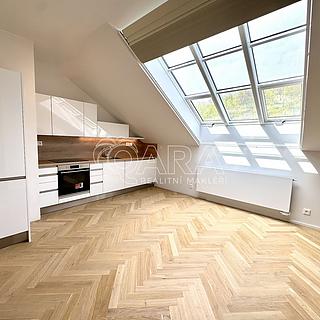 Pronájem bytu 5+1 a více 56 m&sup2; Praha