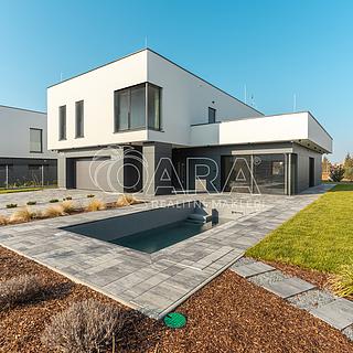 Pronájem bytu 5+1 a více 313 m² Vestec, V Lukách