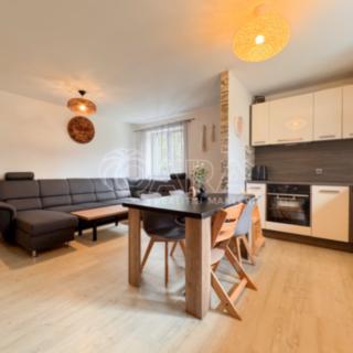 Pronájem bytu 3+kk 72 m² České Budějovice