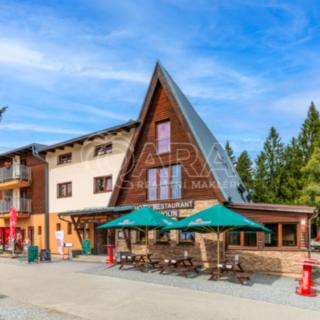 Prodej hotelu a penzionu 1 210 m² Lipno nad Vltavou