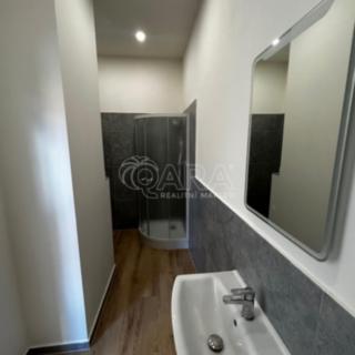 Pronájem bytu 1+1 35 m² Králův Dvůr Počaply, Plzeňská