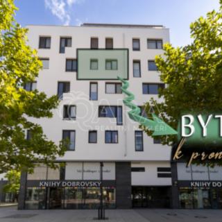 Pronájem bytu 1+kk a garsoniéry 40 m² Ostrava Moravská, Jantarová