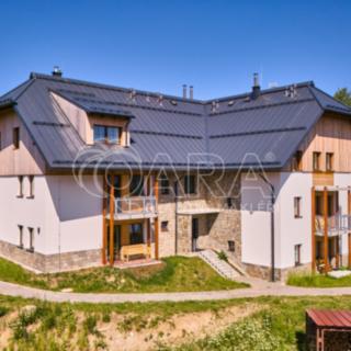 Prodej bytu 2+kk 71 m² Borová Lada