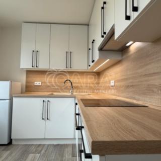 Pronájem bytu 1+1 41 m² Nový Jičín