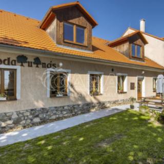 Prodej hotelu a penzionu 812 m² Třebívlice Dřemčice