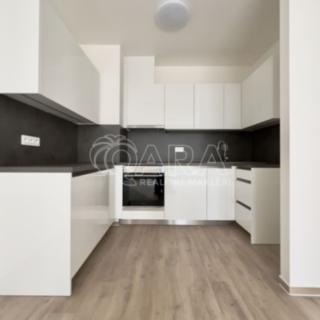 Pronájem bytu 2+kk 59 m² Brno