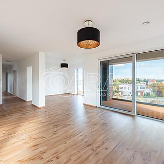 Pronájem bytu 4+kk 113 m² Roztoky