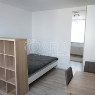 Pronájem bytu 1+kk a garsoniéry 30 m² Praha Vršovice, Petrohradská