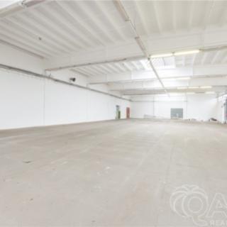 Pronájem skladu 542 m² Písek