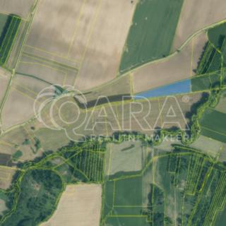 Prodej zemědělské půdy 47 622 m² Malovice Podeřiště
