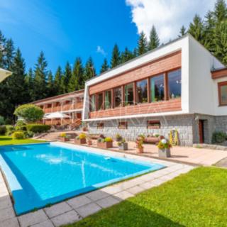 Prodej hotelu a penzionu 1 270 m² Lipno nad Vltavou