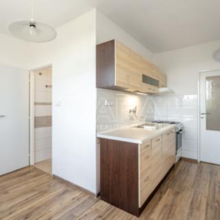 Pronájem bytu 3+1 74 m² Brno Jundrov, Jasanová