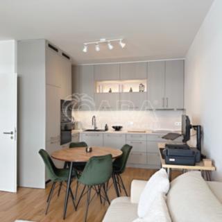 Pronájem bytu 2+kk 65 m² Praha