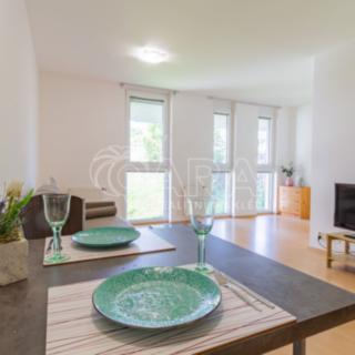 Pronájem bytu 1+kk, garsoniery 30 m² Králův Dvůr