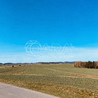 Prodej zemědělské půdy 4 953 m² Tchořovice