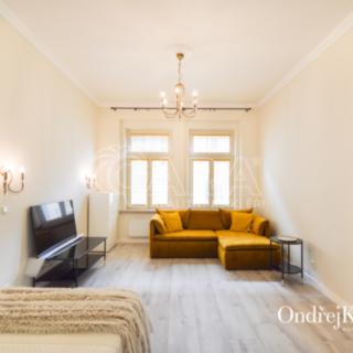 Pronájem bytu 1+1 40 m² Praha Žižkov, Přibyslavská