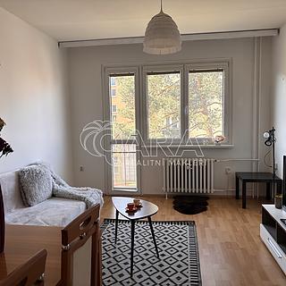 Pronájem bytu 2+1 50 m&sup2; Šternberk