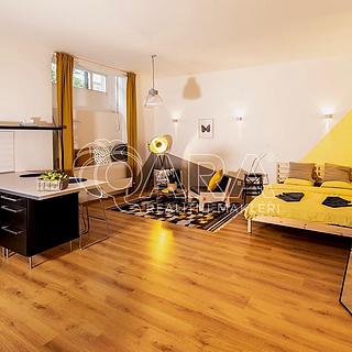 Pronájem bytu 1+kk, garsoniery 53 m&sup2; Praha