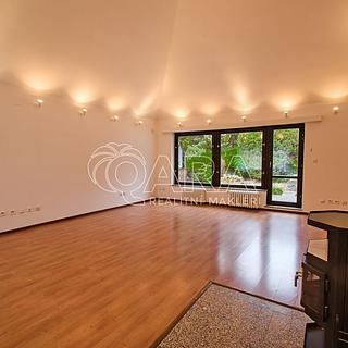 Pronájem rodinného domu, 417m&sup2;