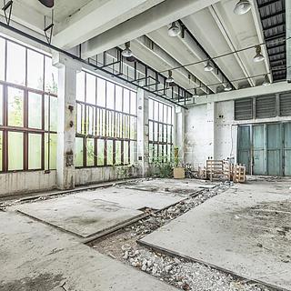 Pronájem obchodu 10 000 m² Přelouč, Jaselská