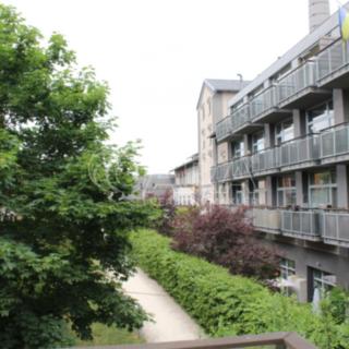 Pronájem bytu 1+kk a garsoniéry 30 m² Dobříš, U Pivovaru