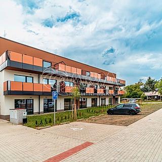 Pronájem bytu 2+kk 55 m² Lobeček, J. Wolkera