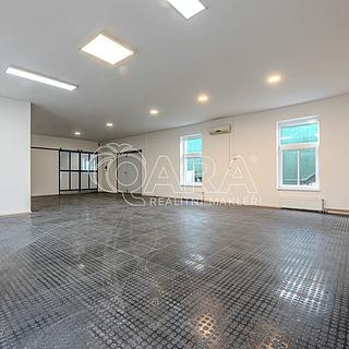 Pronájem obchodu 252 m&sup2; Vestec