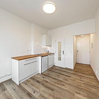 Pronájem bytu 1+kk, garsoniery 17 m&sup2; Praha