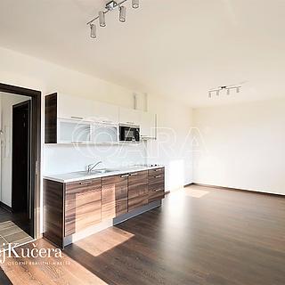 Pronájem bytu 1+kk a garsoniéry 38 m² Praha Jinonice, Barvitiova