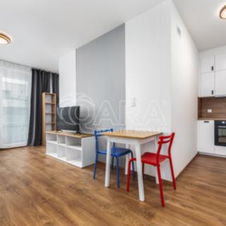 Pronájem bytu 2+kk 46 m² Praha