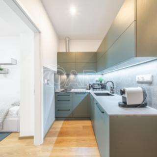 Pronájem bytu 1+kk, garsoniery 33 m² Praha