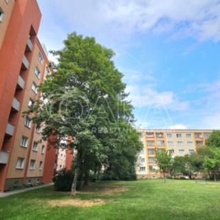 Pronájem bytu 2+1 52 m² Praha Břevnov, Bubeníčkova
