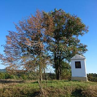 Prodej stavební parcely 1 317 m² Milešov