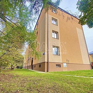 Pronájem bytu 1+1 35 m² Ostrava