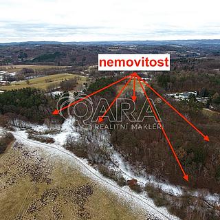 Prodej lesa 19 731 m² Velké Popovice